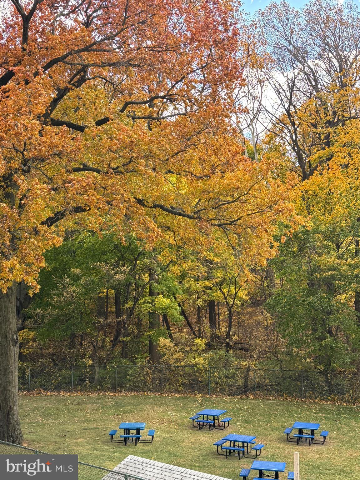 3900 West Ford Road, Unit 2G Philadelphia, PA 19131 - Photo 17 of 18