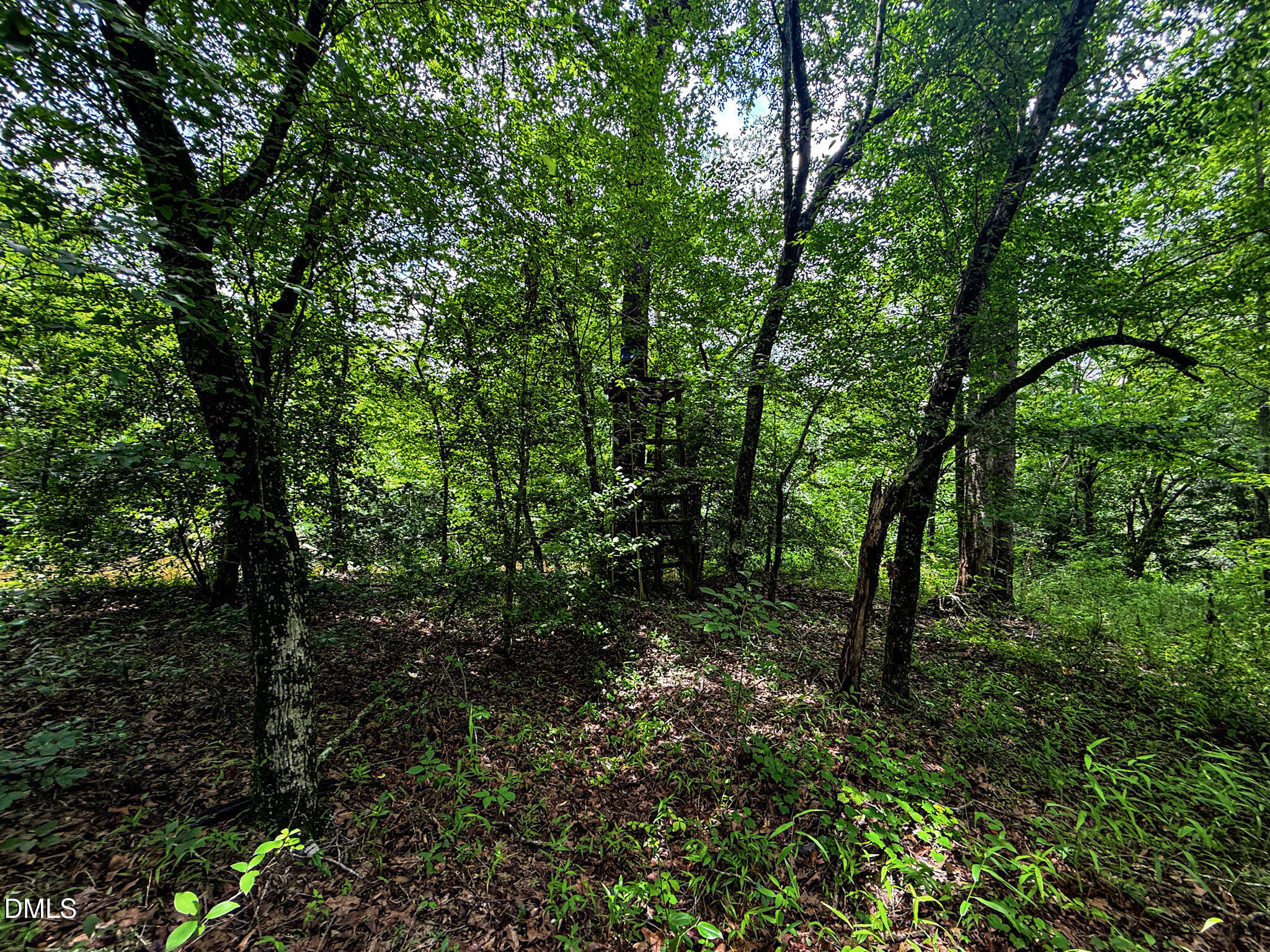 147 Hood Loop Road Henderson, NC 27537 - Photo 28 of 37 28