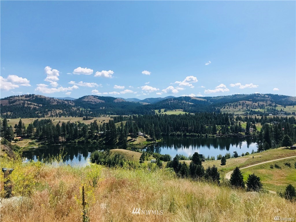 47 Trestle View Road Republic, WA 99166 - Photo 14 of 20 Gallery Image 14