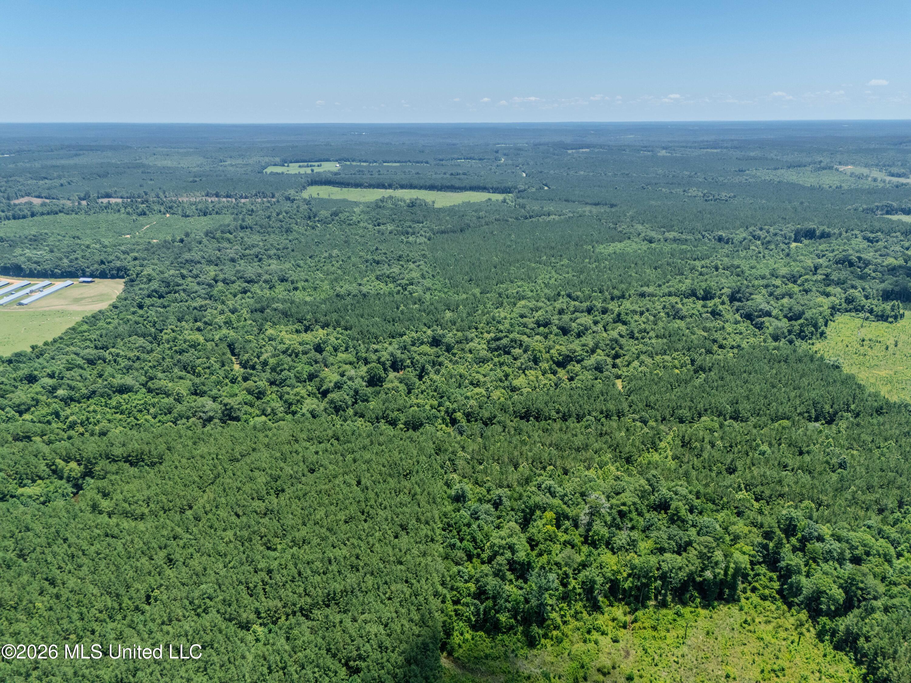 23 Co Road Bay Springs, MS 39422 - Photo 45 of 64 DJI_20260611122603_0009_D