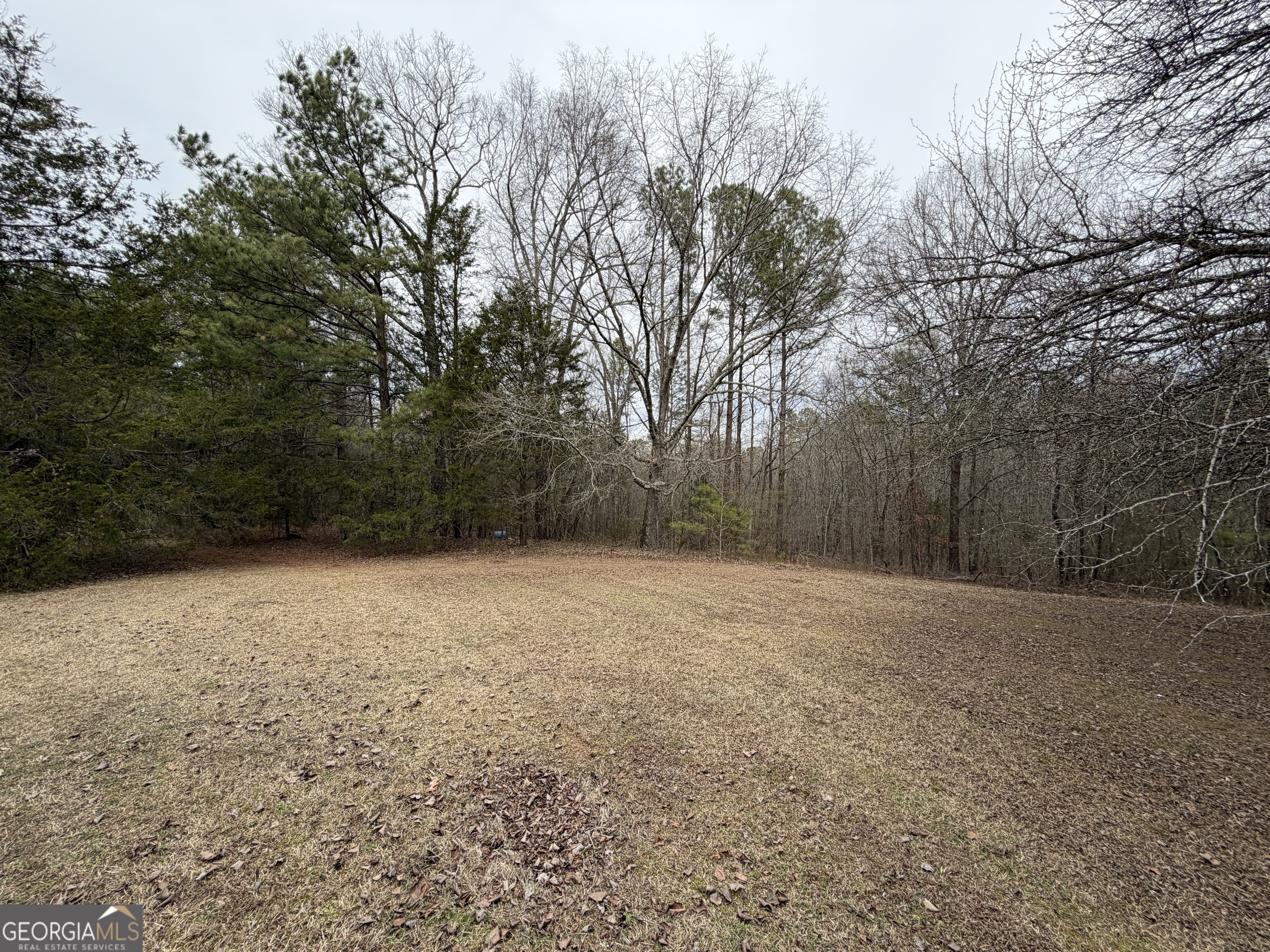1216 North Bellview Road Aragon, GA 30104 - Photo 15 of 19 a backyard of a house with large trees
