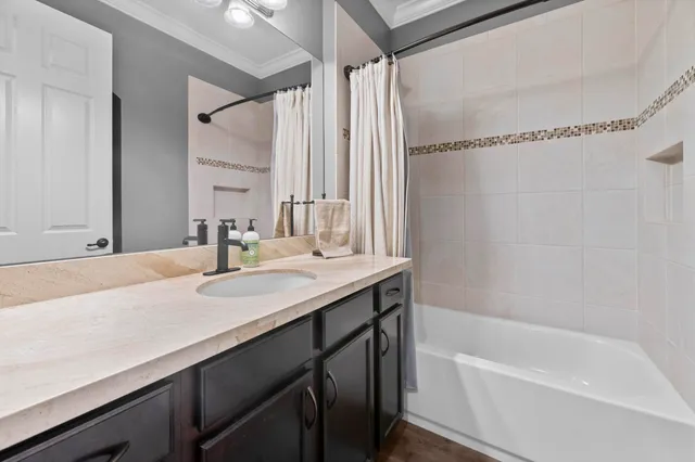 a view of a backyard with a plants and palm trees