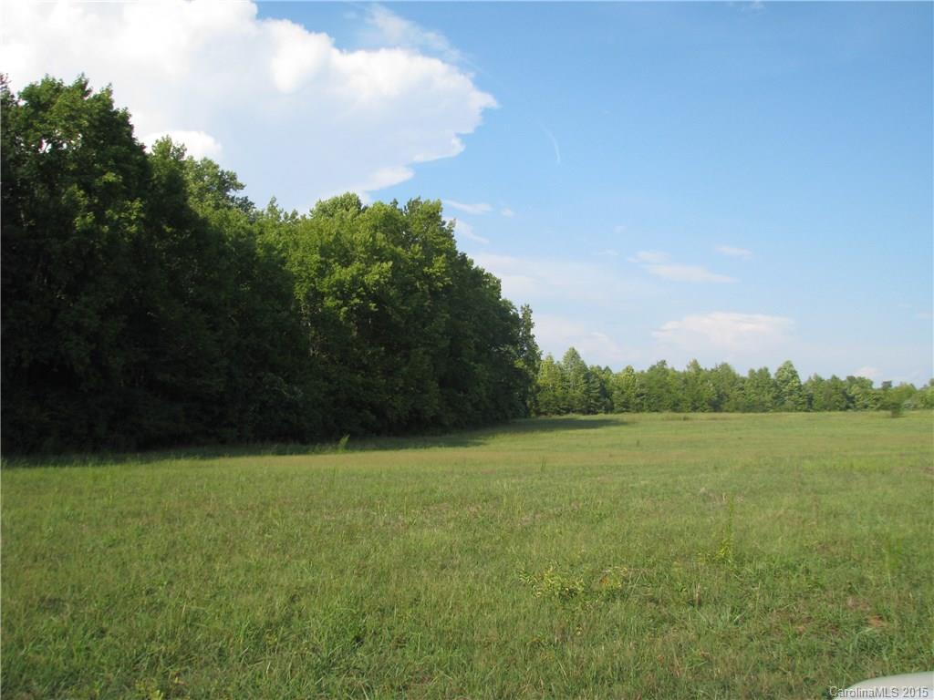18.26-ac Old Limestone Road Clover, SC 29710 - Photo 5 of 10 Gallery Image 5