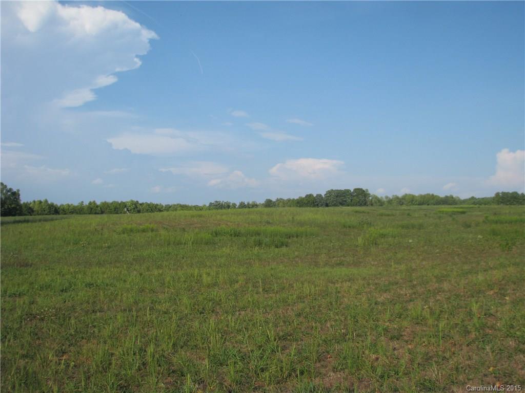 18.26-ac Old Limestone Road Clover, SC 29710 - Photo 6 of 10 Gallery Image 6