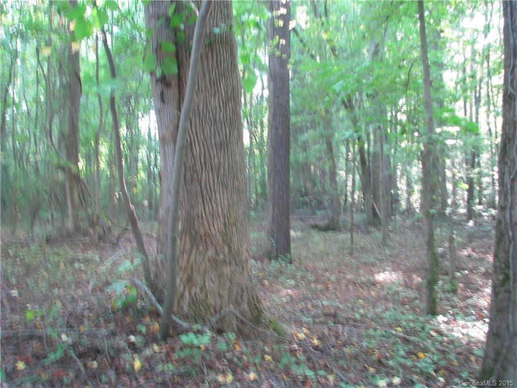 18.26-ac Old Limestone Road Clover, SC 29710 - Photo 7 of 10 Gallery Image 7