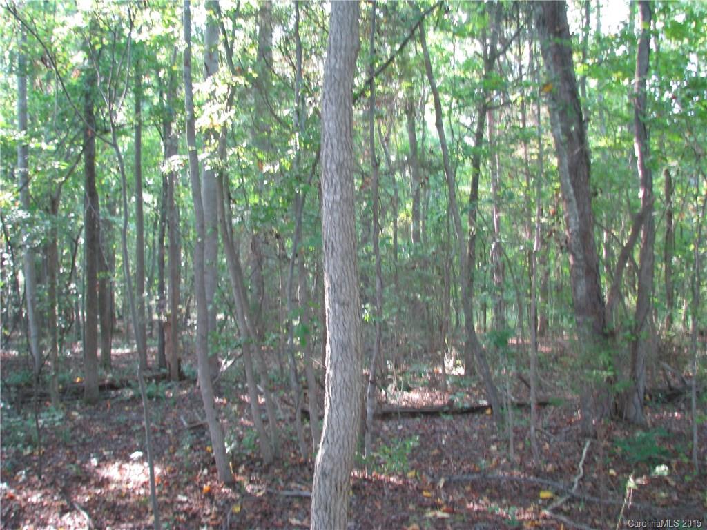 18.26-ac Old Limestone Road Clover, SC 29710 - Photo 8 of 10 Gallery Image 8