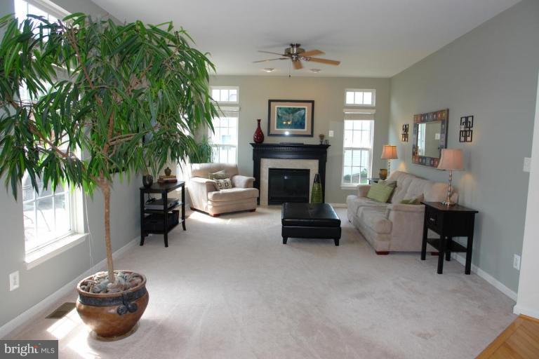42719 Middle Ridge Place Broadlands, VA 20148 - Photo 14 of 28 Family Room #2