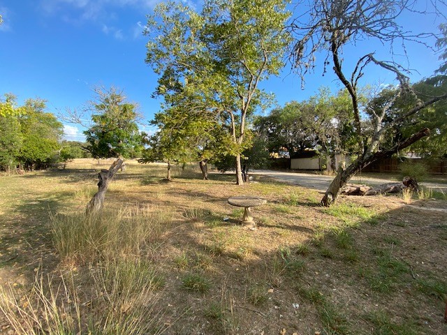 2807 Hunter Road San Marcos, TX 78666 - Photo 11 of 14 a view of yard with tree