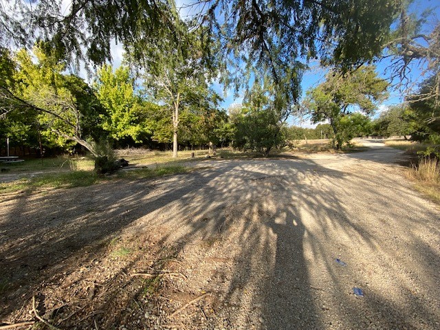 2807 Hunter Road San Marcos, TX 78666 - Photo 12 of 14 a view of a yard with a tree