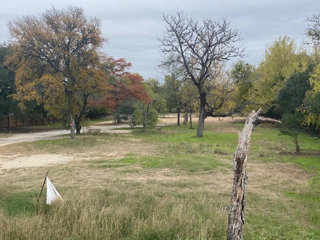 2807 Hunter Road San Marcos, TX 78666 - Photo 9 of 14 a view of yard with tree in it