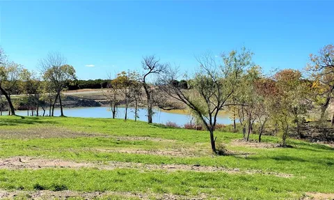 a view of a park with large trees