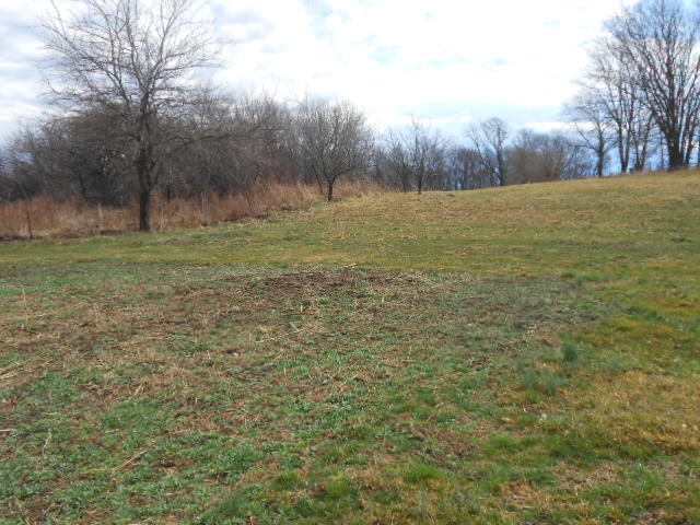 1272 West Scotland Newberry Road Newberry, IN 47449 - Photo 19 of 23 Gallery Image 19