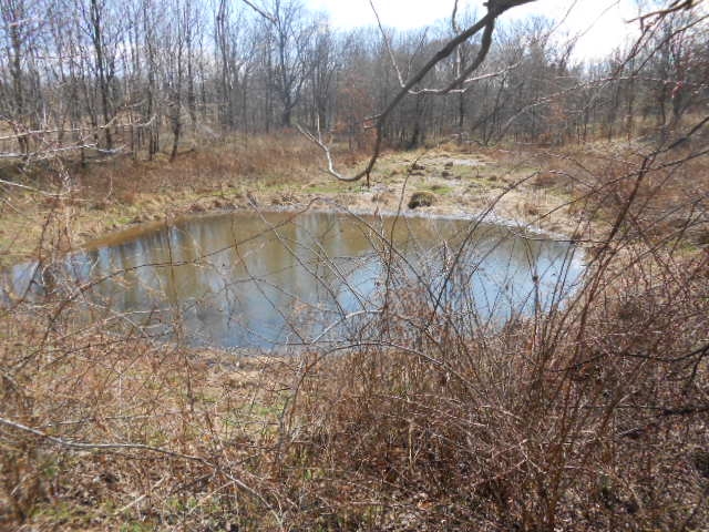 1272 West Scotland Newberry Road Newberry, IN 47449 - Photo 23 of 23 Gallery Image 23