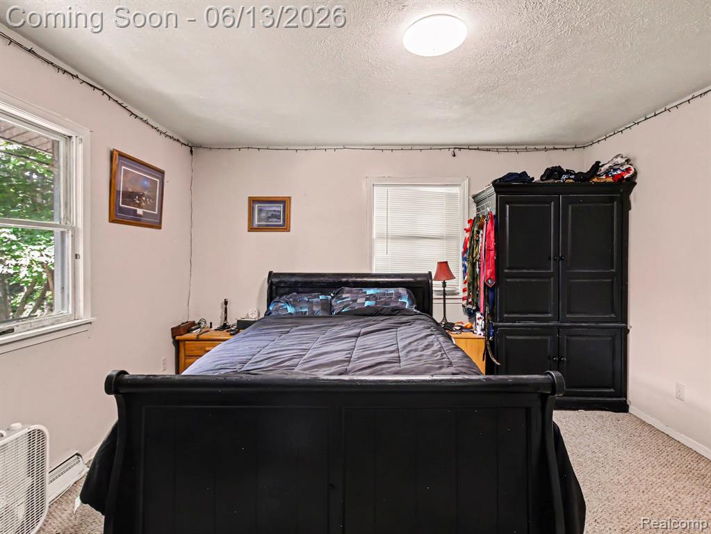 3621 Atkins Road Petoskey, MI 49770 - Photo 11 of 34