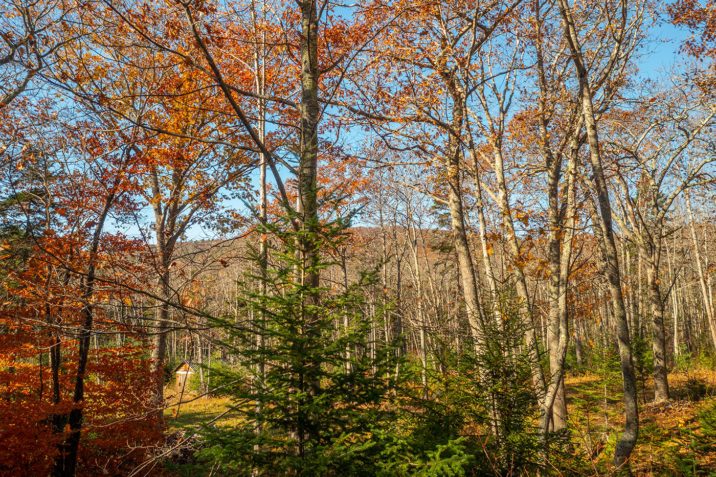 28 Upland Road Camden, ME 04843 - Photo 53 of 57 DJI_0254