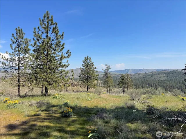 $119,000 | 2 Hart Road, Davenport, WA 99122