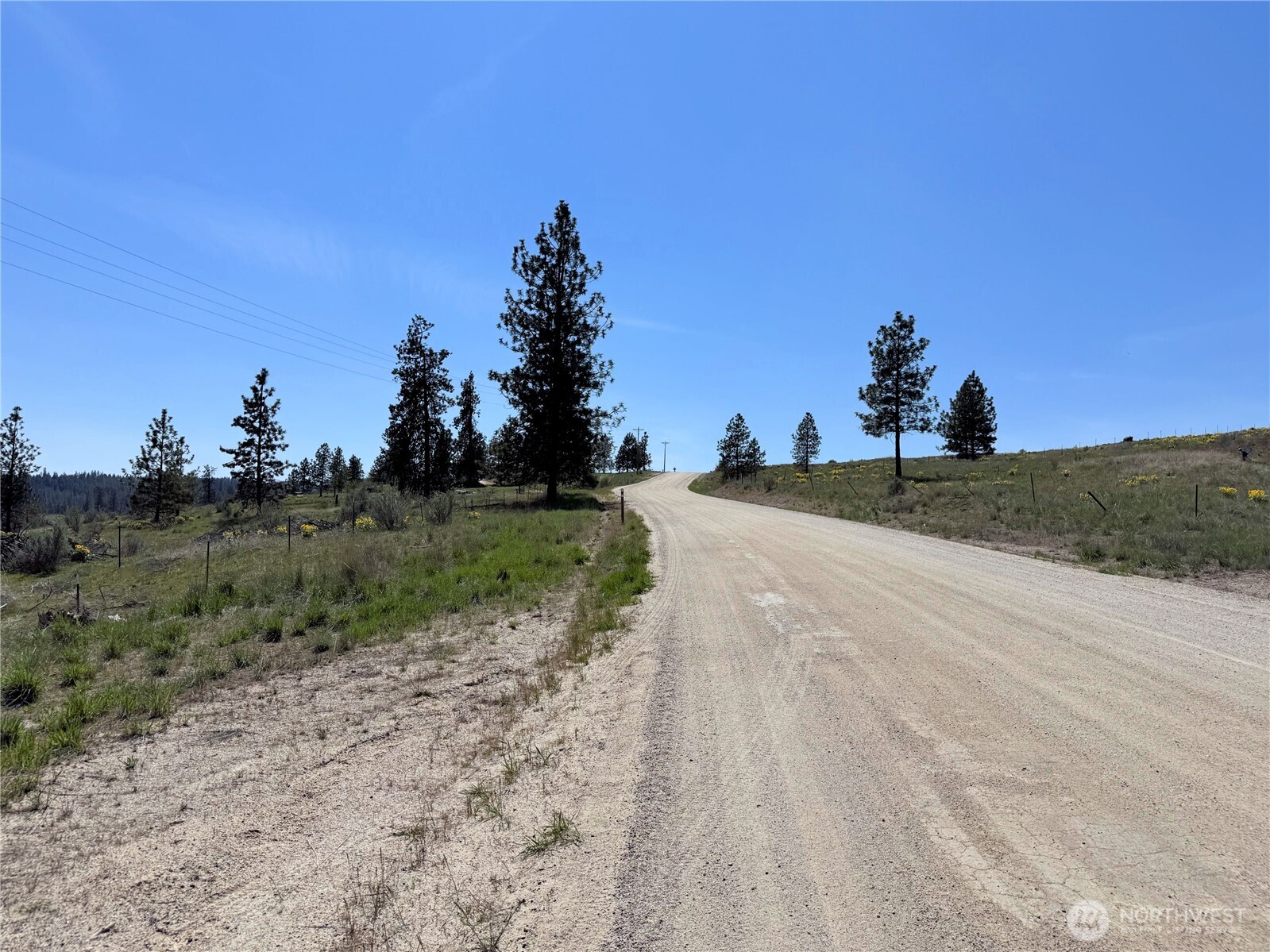 2 Hart Road Davenport, WA 99122 - Photo 12 of 14