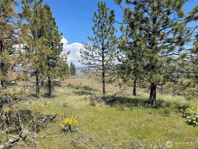 $119,000 | 2 Hart Road, Davenport, WA 99122