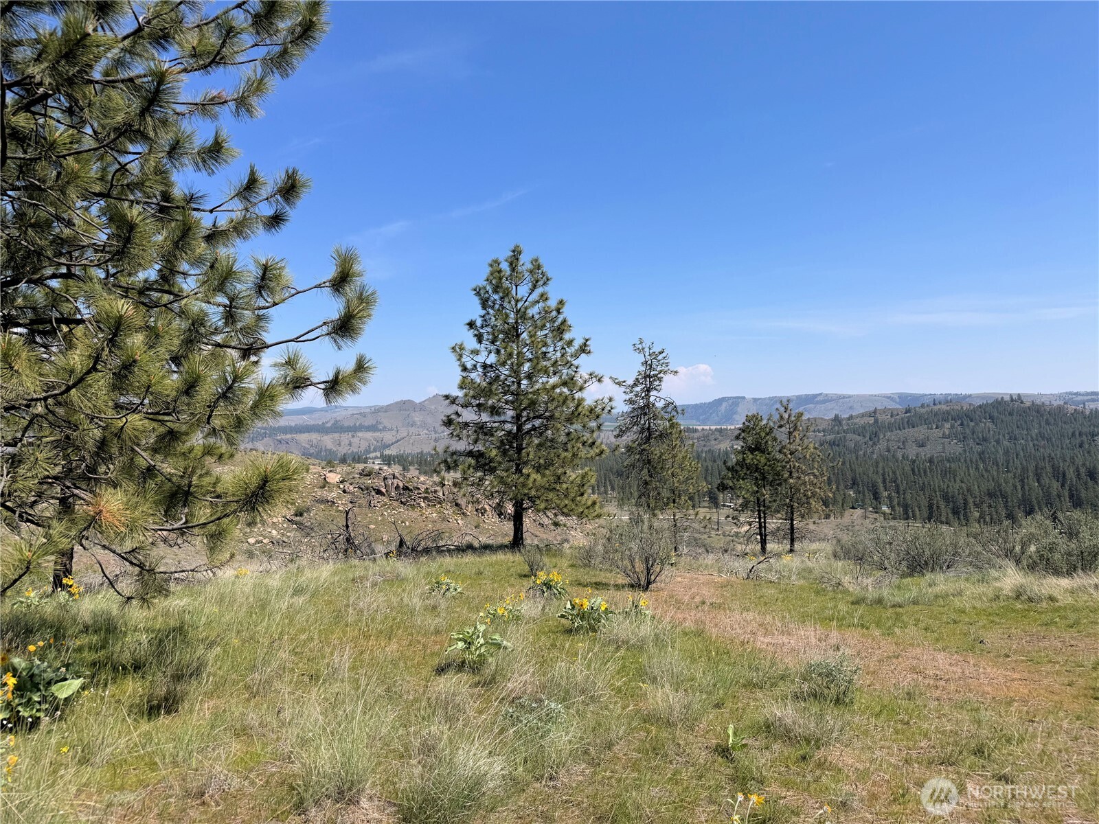 2 Hart Road Davenport, WA 99122 - Photo 5 of 14