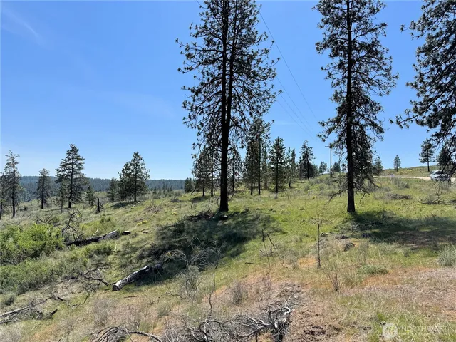 $119,000 | 2 Hart Road, Davenport, WA 99122