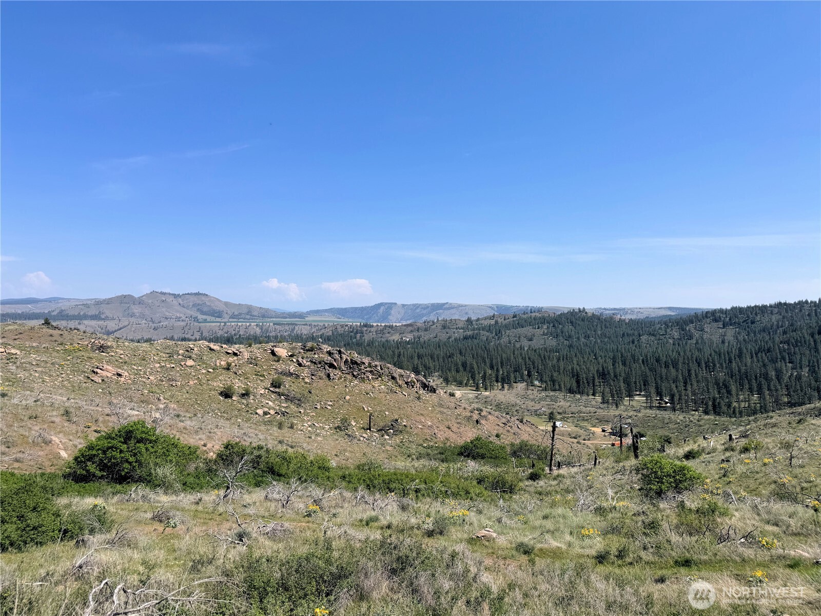 2 Hart Road Davenport, WA 99122 - Photo 8 of 14