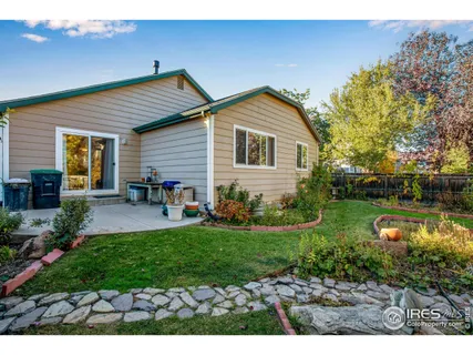 a view of a big yard with plants and large trees