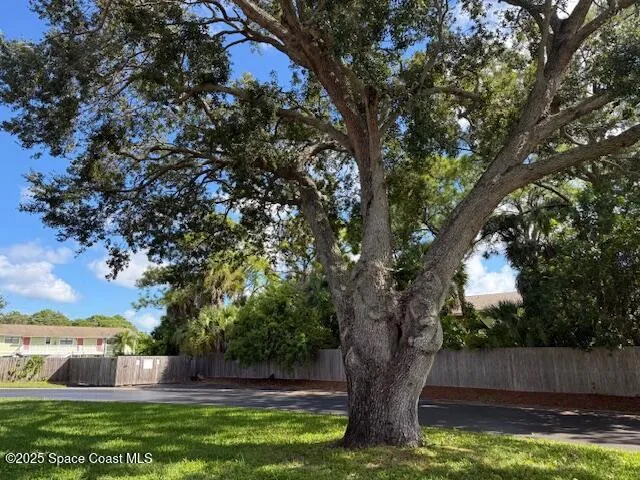 a view of yard with tree in the background