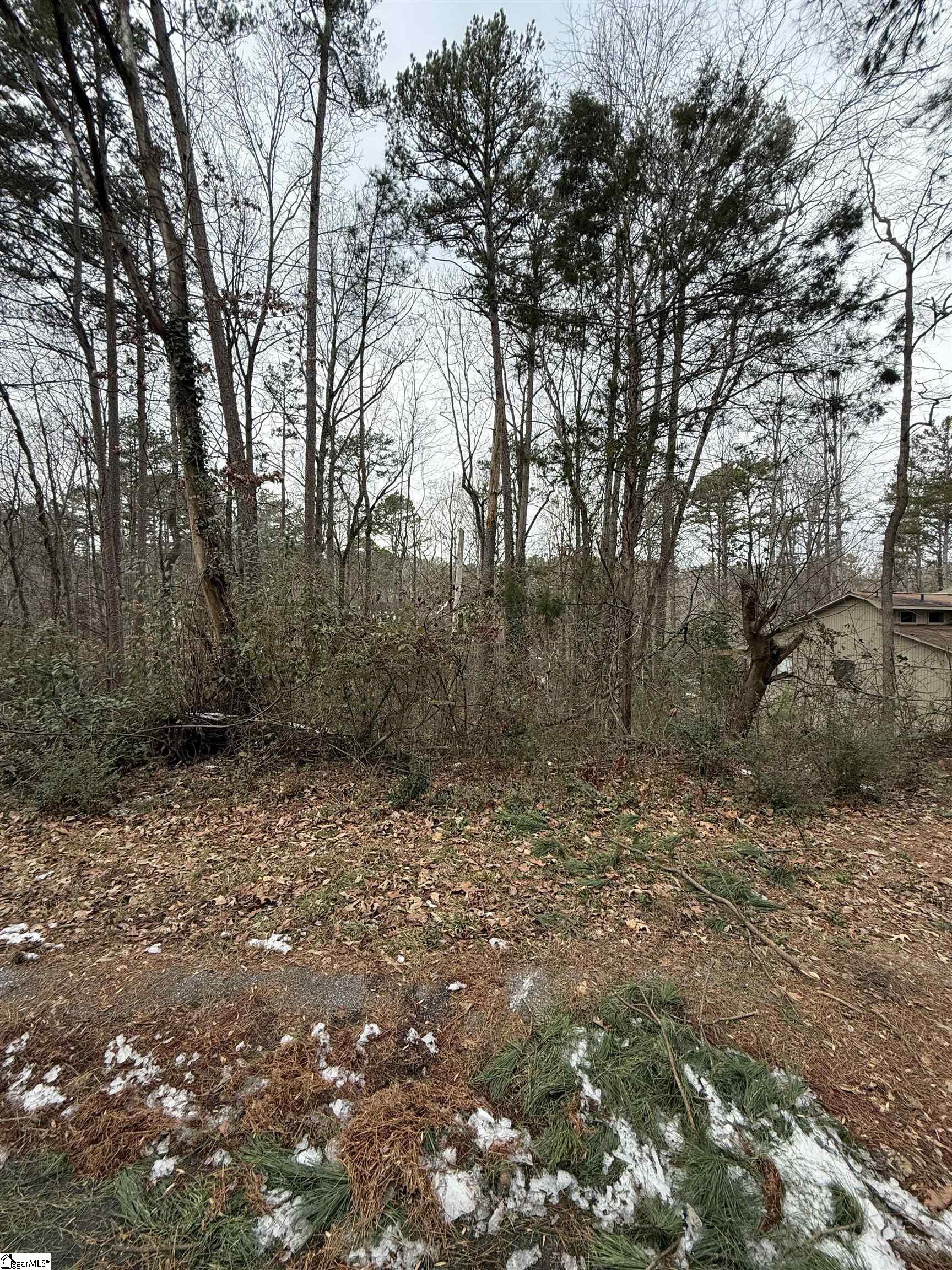 460 Fox Fire Court Seneca, SC 29672 - Photo 5 of 6