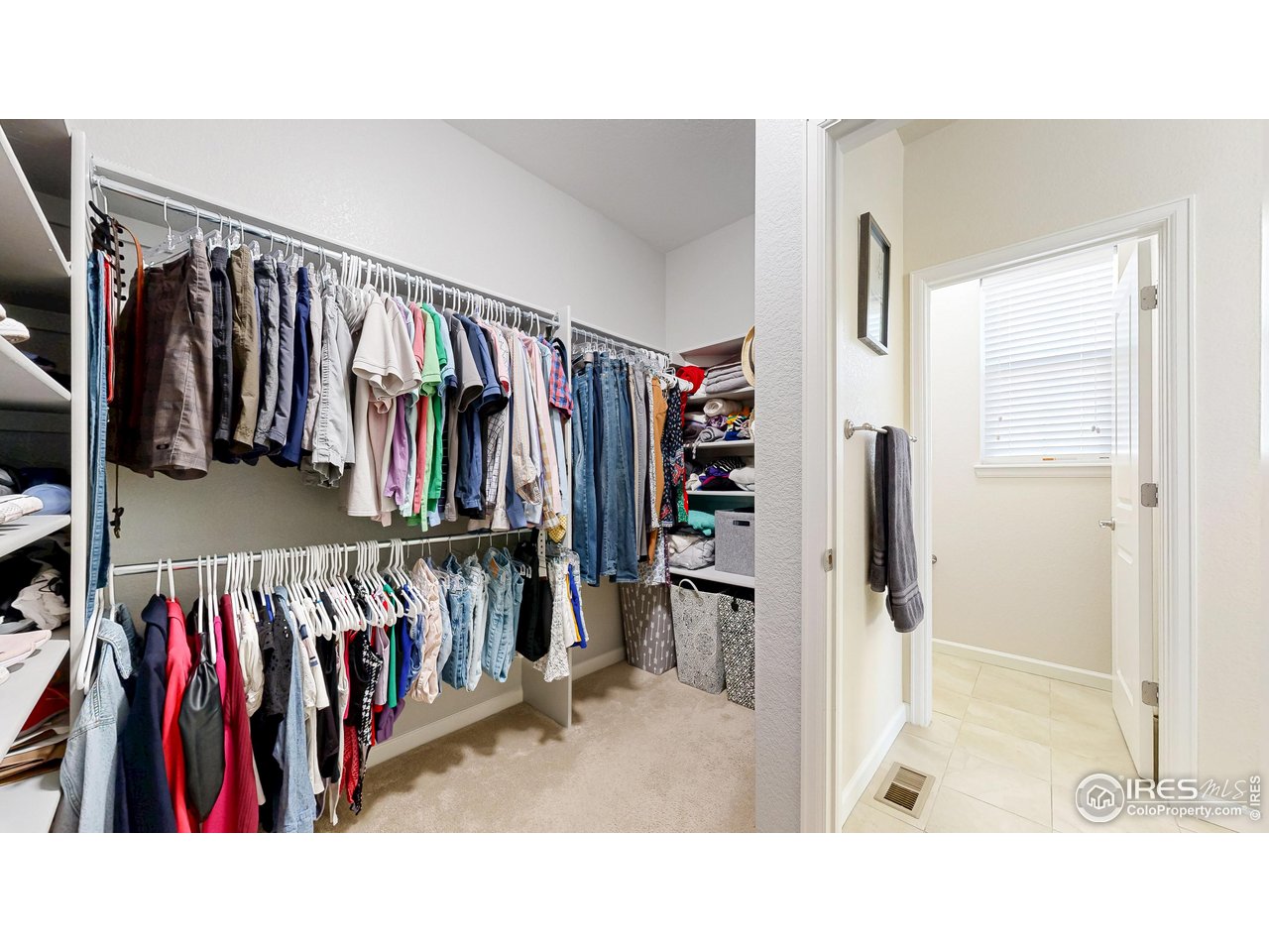 6794 Spring Rain Road Timnath, CO 80547 - Photo 25 of 49 a view of walk in closet with clothes and shoes