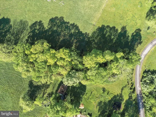 a view of a green field