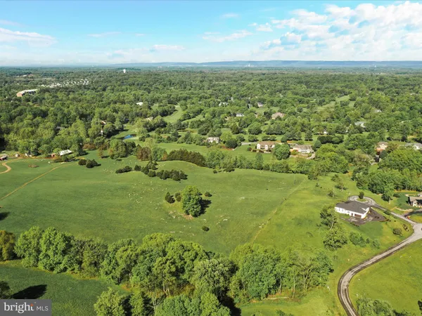 a view of a lush green forest with lots of trees and houses