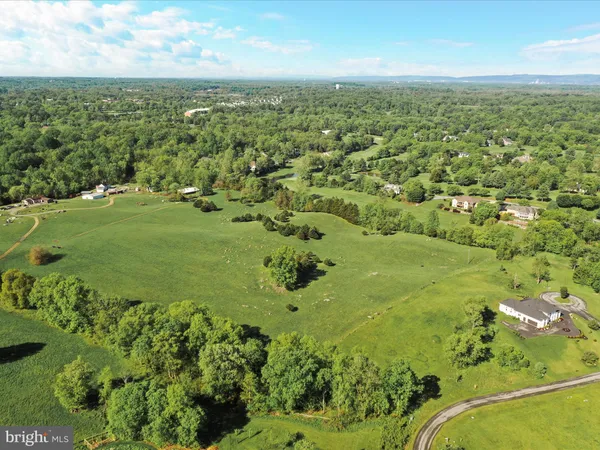a view of a lush green outdoor space with a lake view