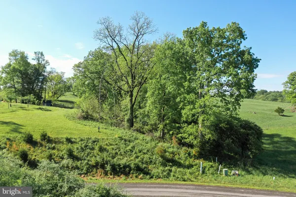 a view of a lush green space