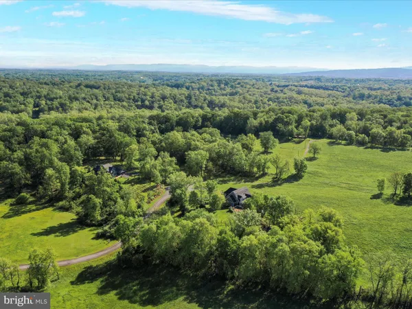 a view of a green yard with large trees