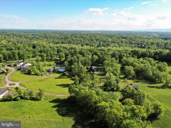a view of a lush green space