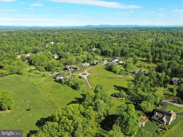 a view of a garden with a lake