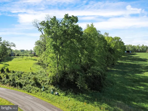 a view of a green field with lots of bushes
