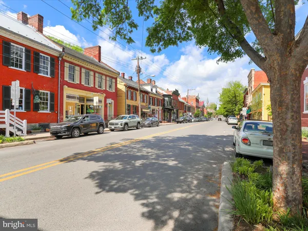 a view of a big yard with plants and a large tree