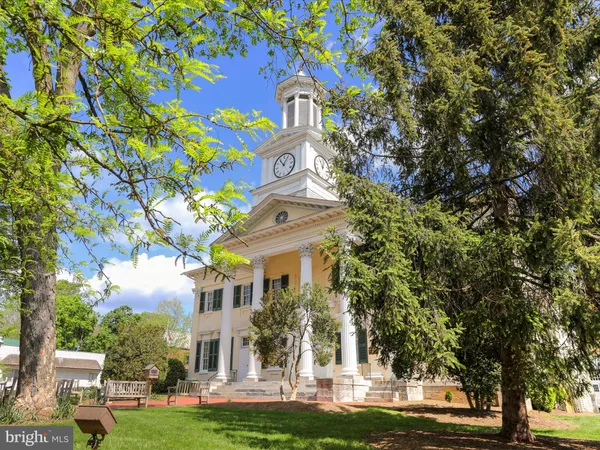 a view of a lush green forest with a lake