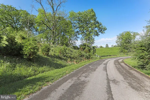 a view of a street view with a garden