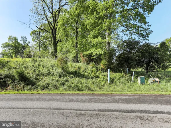 a backyard of a house with lots of green space and trees