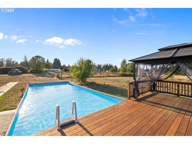 a view of swimming pool with lounge chair