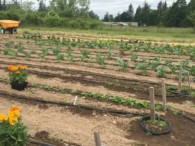 a view of lake view and mountain view
