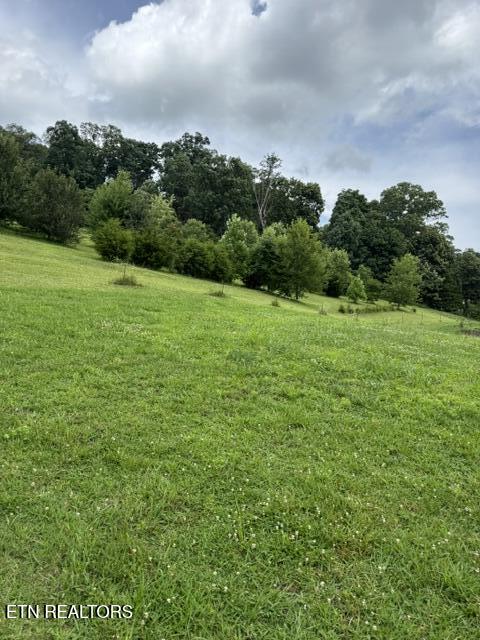 280 Dutchess Drive Luttrell, TN 37779 - Photo 18 of 22 IMG_2541 (002)
