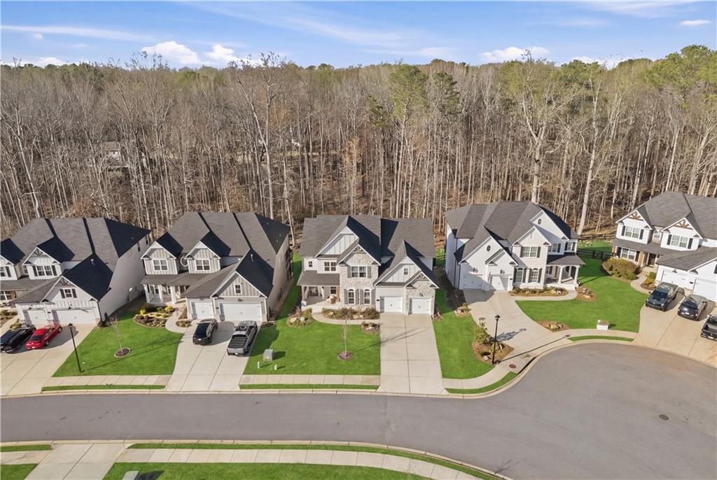 244 Wild Rose Circle Canton, GA 30115 - Photo 55 of 55 an aerial view of a