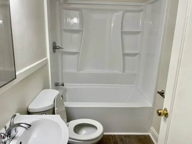 a bathroom with a toilet and a bathtub