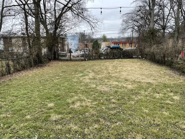 a view of yard with large trees