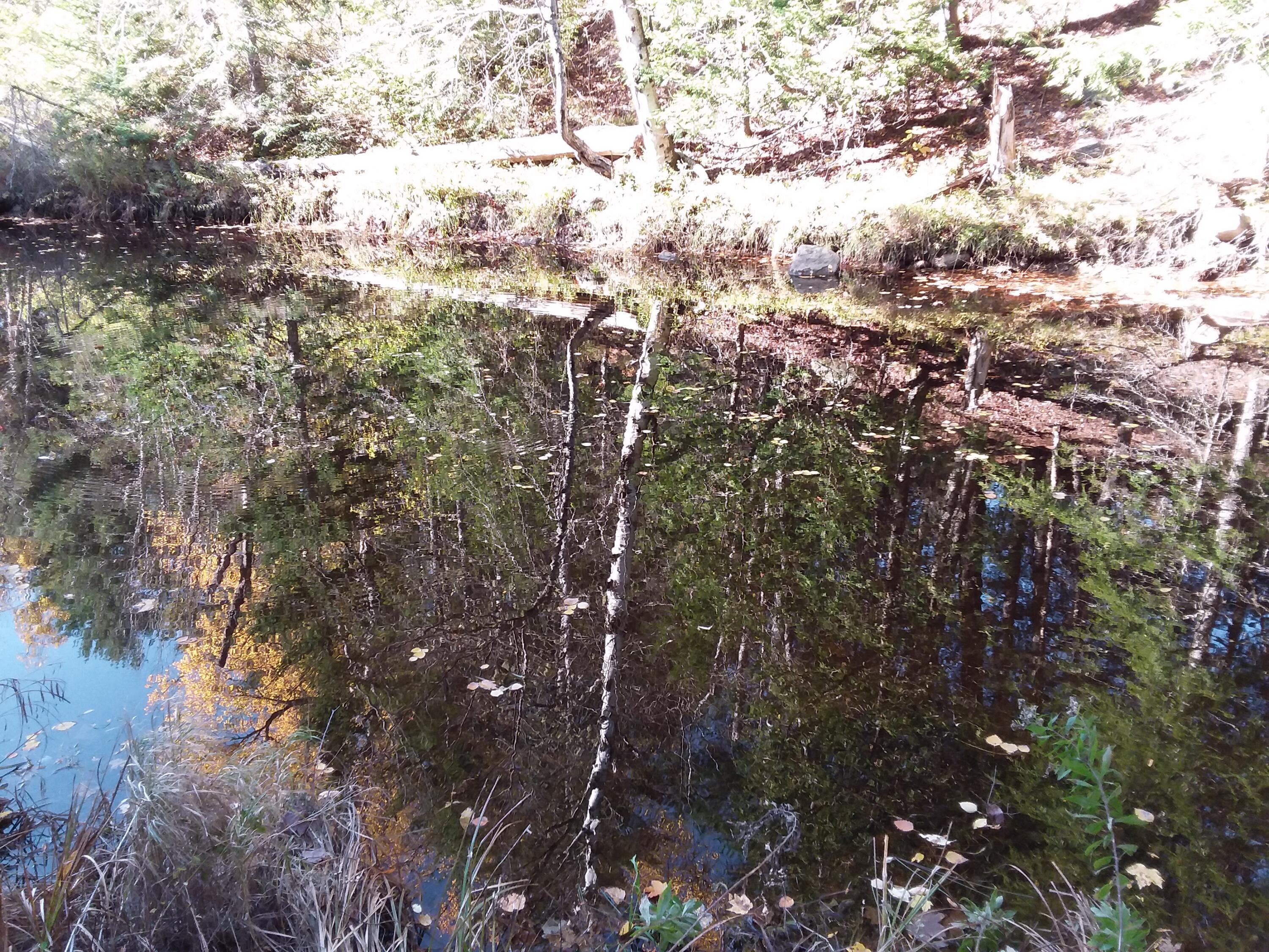 271 Upper Hostile Valley Road Liberty, ME 04949 - Photo 12 of 43 Bohlke8