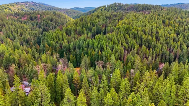 $75,000 | Nka North Mt Spokane Park Drive, Mead, WA 99021