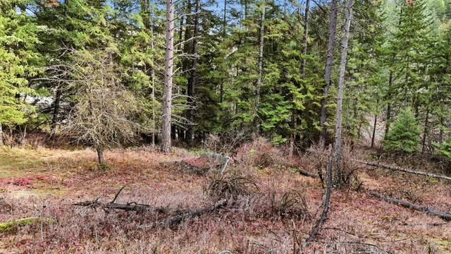 $75,000 | Nka North Mt Spokane Park Drive, Mead, WA 99021